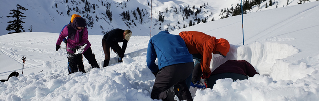 group digging in snow
